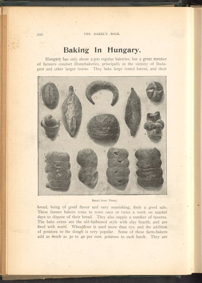 The Baker's Book [Volume II] - Science History Institute Digital ...