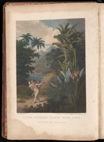 A New Illustration of the Sexual System of Carolus von Linnaeus