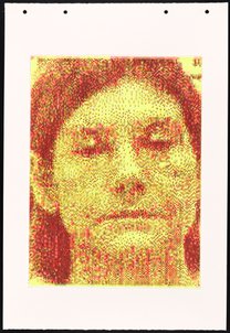 HH36 (Genotype: Phenotype Wall Piece)