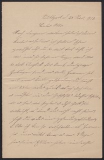 Letter from Louise Haas to Otto Haas, November 24, 1913