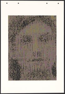 HH42-3 (Genotype: Phenotype Wall Piece)