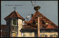 Postcard to Max Bredig from Oberkirch, Germany, August 12, 1918