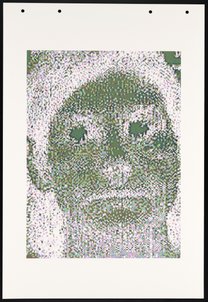 HH-NE1 (Genotype: Phenotype Wall Piece)