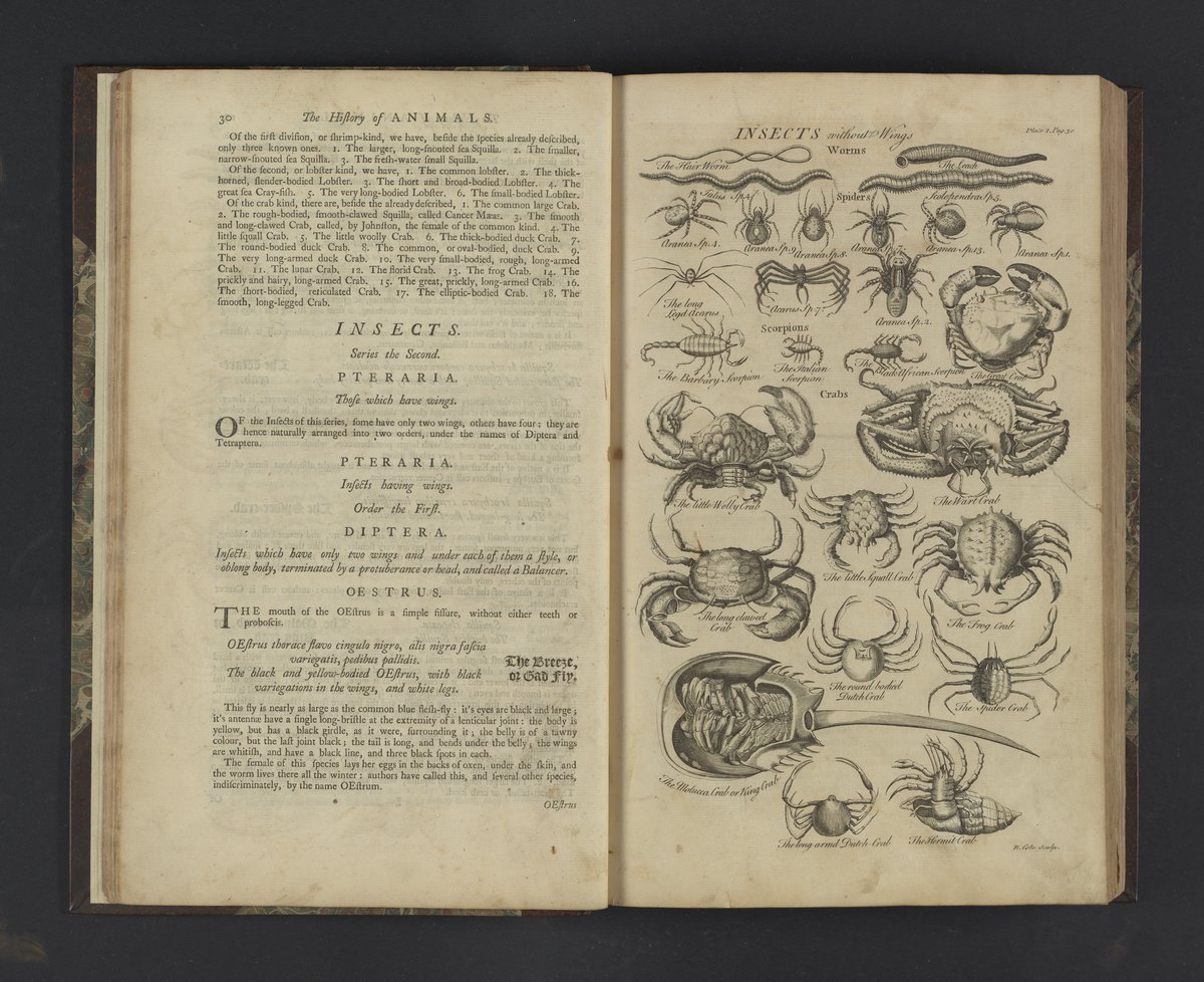 Plate 2: Insects Without Wings - Science History Institute Digital ...