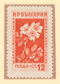 Dog Rose (Rosa canina) postage stamps, Bulgaria