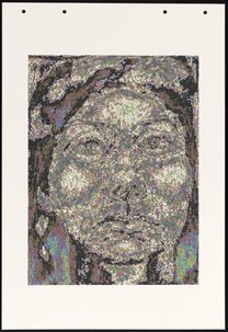 HH-M71 (Genotype: Phenotype Wall Piece)
