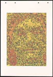 HH3-4 (Genotype: Phenotype Wall Piece)