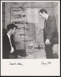 James D. Watson and Francis Crick with a Three-Dimensional Model of the DNA Double Helix