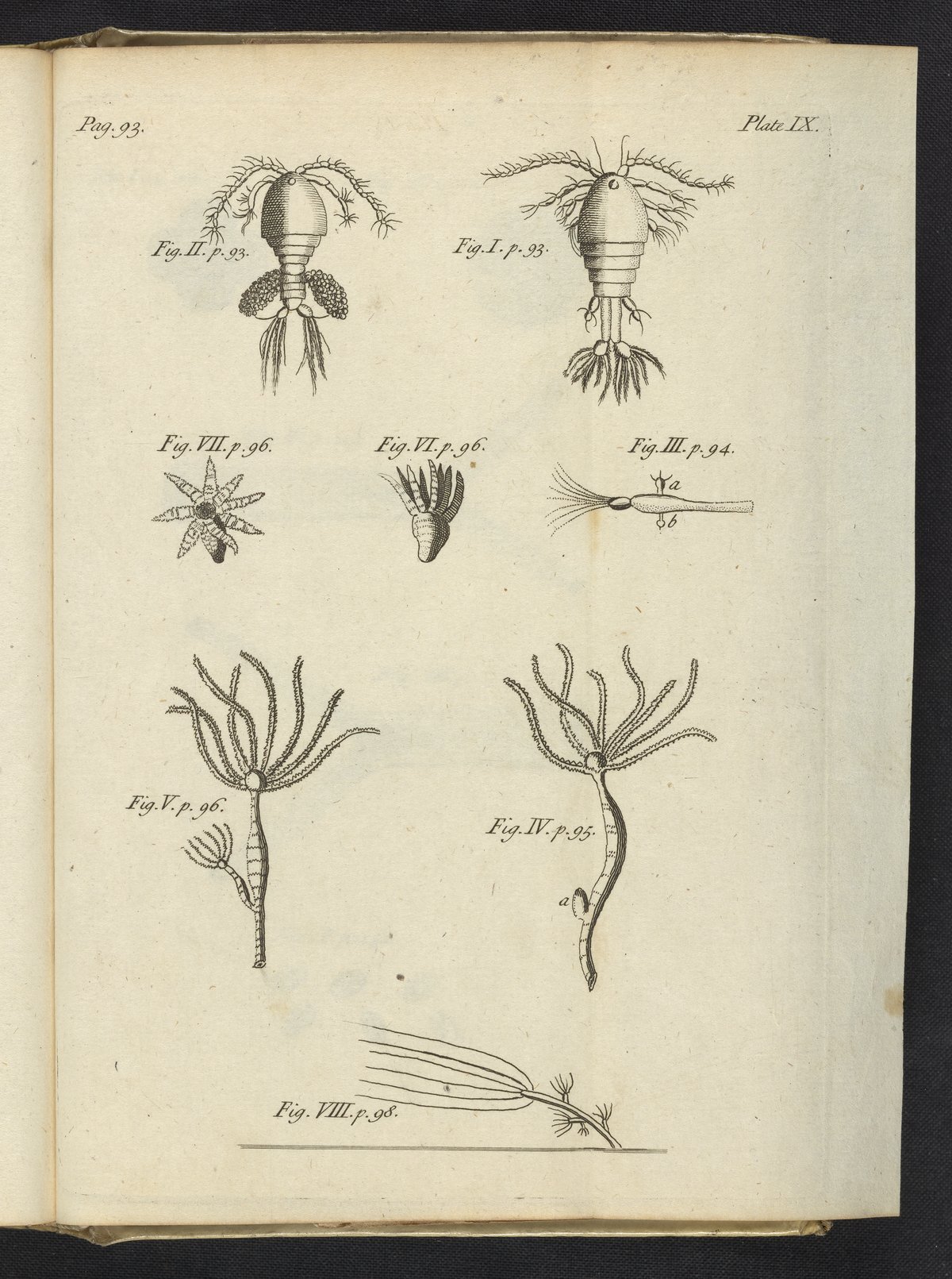 Plate IX: Animalcules found in puddles - Science History Institute ...