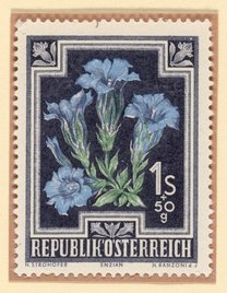 Trumpet Gentian (Gentiana kochiana) postage stamp, Austria