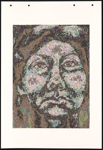 HH-M87 (Genotype: Phenotype Wall Piece)