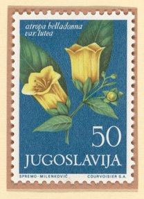 Deadly Nightshade (Atropa belladonna) postage stamp, Yugoslavia