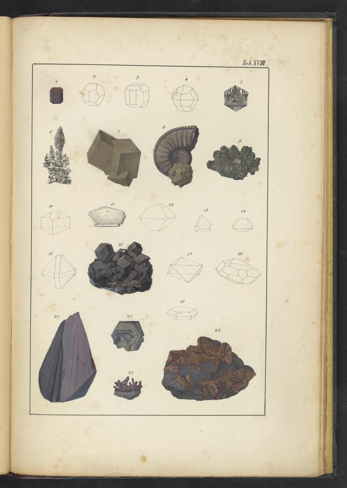 Plate XVIII: Pyrites, Magnetic Iron, Iron-Glance, Iron Ores - Science ...