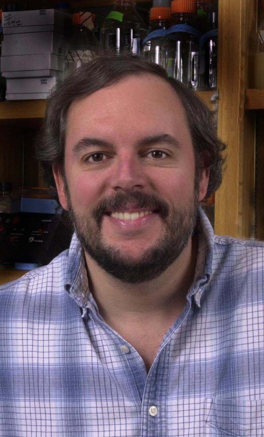 Oral history interview with Stephen J. Elledge - Science History ...