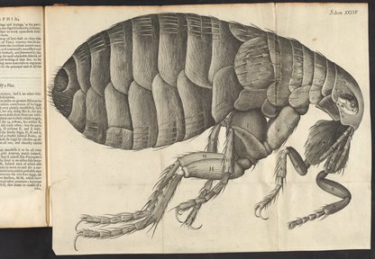 Micrographia : or, Some physiological descriptions of minute bodies ...