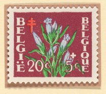Snow gentian (Gentiana nivalis) postage stamp, Belgium