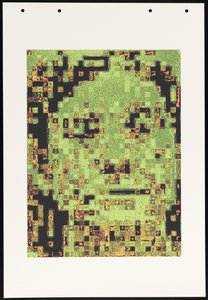 HH1-14 (Genotype: Phenotype Wall Piece)