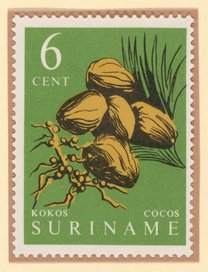 Coconuts (Cocos nucifera) postage stamp, Suriname