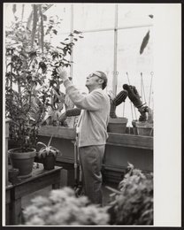 Photograph of Max Tishler at Wesleyan University