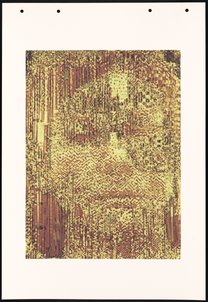 HH41-6 (Genotype: Phenotype Wall Piece)
