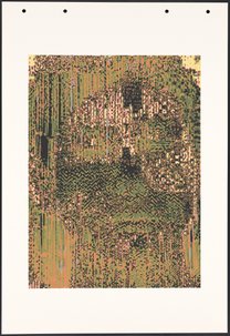 HH41-5 (Genotype: Phenotype Wall Piece)