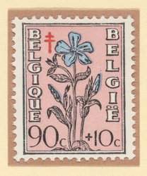 Periwinkle (Vinca) semi-postal stamp, Belgium